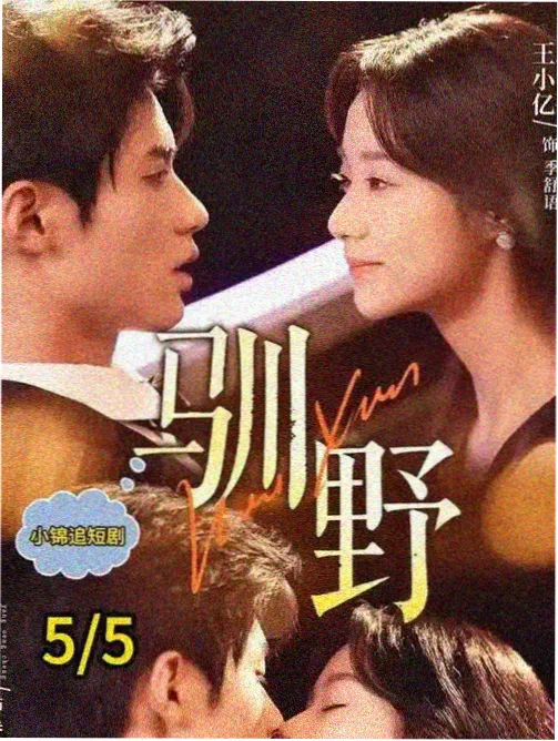 夜航纪事 海报